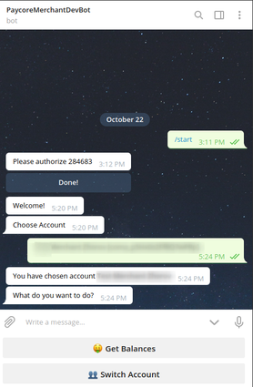 Chat Bot